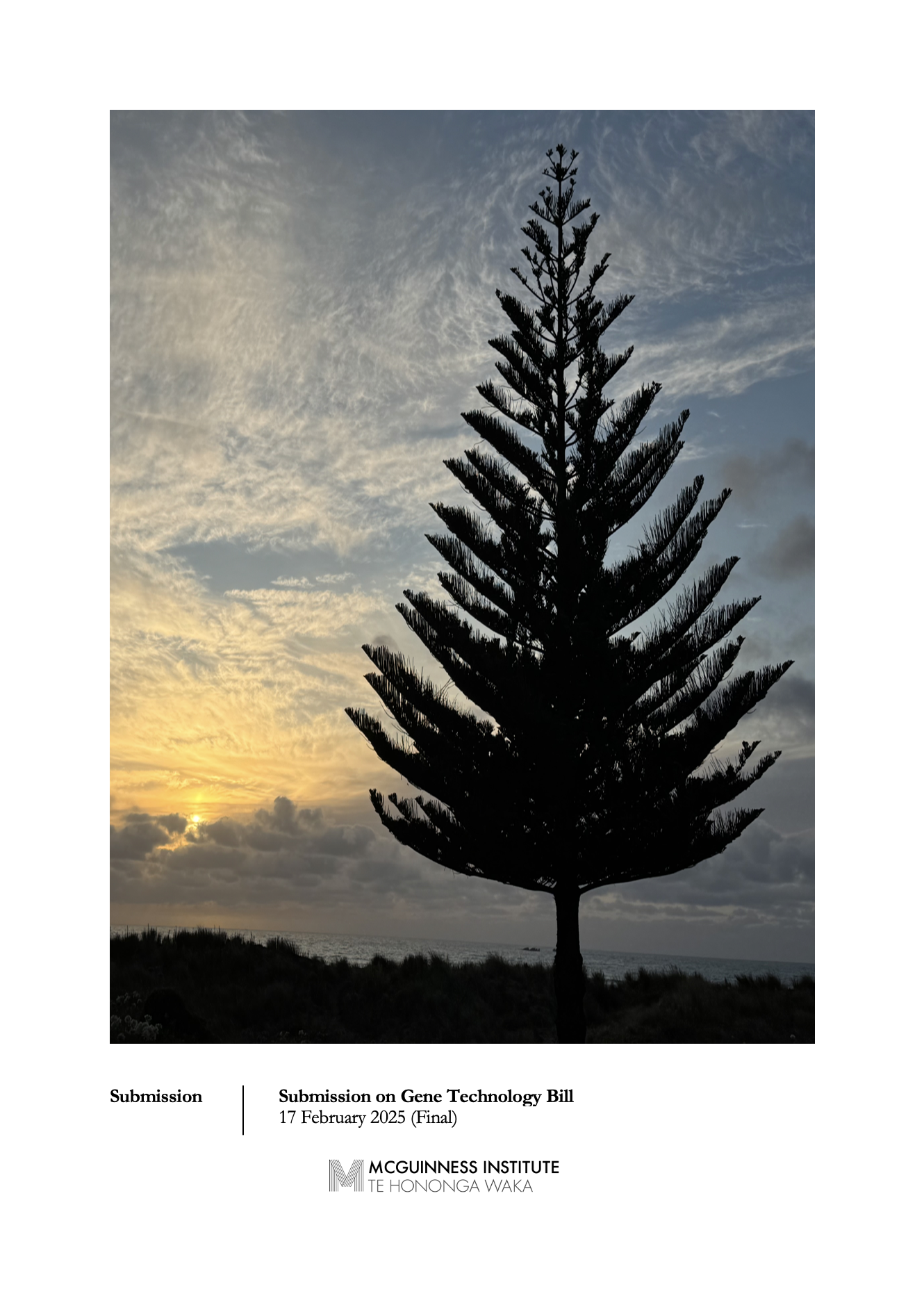 Submission 2025/01 – Principles of the Treaty of Waitangi Bill (the Principles Bill)